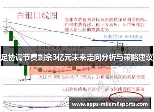 足协调节费剩余3亿元未来走向分析与策略建议