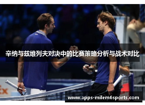 辛纳与兹维列夫对决中的比赛策略分析与战术对比