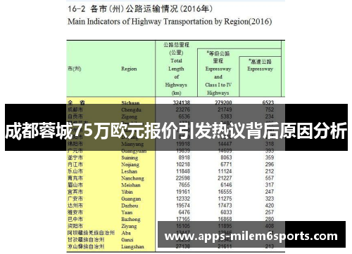 成都蓉城75万欧元报价引发热议背后原因分析